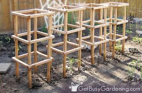 If you're tired of using cheap, flimsy cages, or constantly staking and tying the plants to keep them upright and off the ground, then you need to build these sturdy DIY tomato cages! You can even paint the wood to make them decorative, and look pretty in the garden. Grab the design plans, and get step-by-step instructions for how to build the best, super strong, heavy duty homemade tomato cages you’ve ever used. You’ll never need to stake your tomatoes again, which makes gardening much easier! Staking Tomato Plants, Tomatoes Plants Problems, Plant Cages, Tomato Trellis, Garden Site, Vertical Vegetable Garden, Tomato Cages, Garden Veggies, Home Vegetable Garden