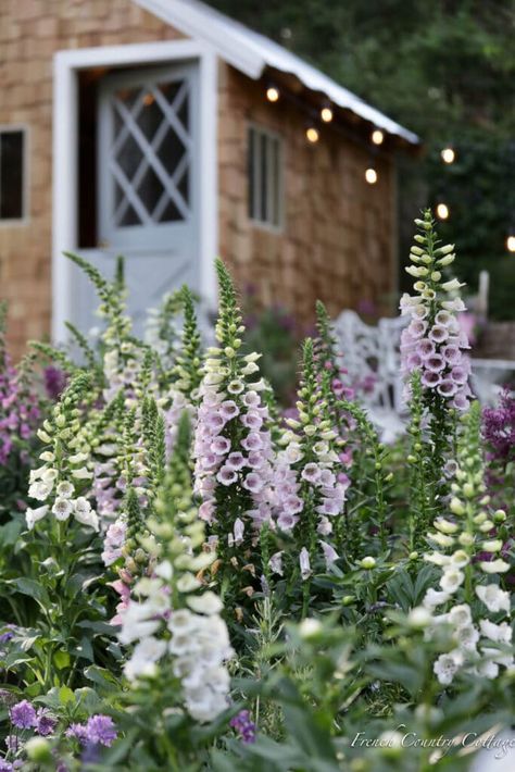 English Cottage Garden Shed, English Garden Planters Pots, English Cottage Landscaping, English Garden Front Yard, French Cottage Garden, Tea Aesthetic, Urban Cottage, French Country Garden, Design Boards