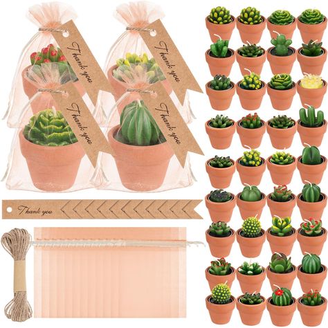 PRICES MAY VARY. Cactus Candle Combinations: the package comes with 36 pieces of succulent candles party favors, 36 pieces of organza bags, 36 pieces of mini terracotta clay candle holders, 36 pieces of thank you tags and 1 piece of 32.81 ft/ 10 meter twine, the nice combination can support your use needs Quality Long Lasting Candles: the succulent candle party favors for guests are mainly made of quality paraffin material, safe and reliable, not easy to fade, each candle burns steadily for 4-5 Sun Flower Baby Shower Favors, Cactus Baby Gifts, Plant Gift Basket Baby Shower, Flower Bulb Baby Shower Favor, Dried Flowers Birthday Party, Plant Shop Bridal Shower, Neutral Baby Shower Thank You Gifts, Take Home Baby Shower Gifts Party Favors, Unique Baby Shower Themes Target