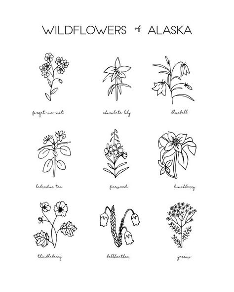 Moutain Tattoos, Alaska Tattoo, Wilderness Tattoo, Pnw Tattoo, Wildflower Drawing, Illustration Black And White, Native Tattoos, Wildflower Tattoo, Tattoo Outline Drawing