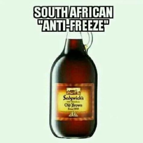 South Africa Quotes, Without You Quotes, Winter Humor, Cute Picture Quotes, Good Morning Smiley, Snow Nature, Spring Instagram, Beer Quotes, Funny Pictures With Captions