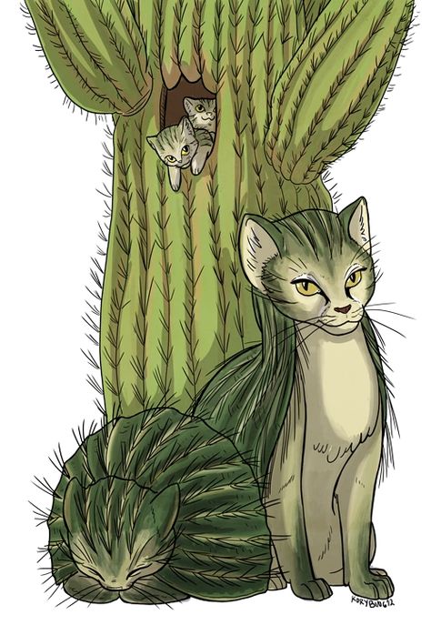 The Cactus Cat is covered in thorns. They are social animals and are said to live 20 through 30 years. Mythical Cat, Seanan Mcguire, Hybrid Cat, Cactus Cat, Strange Beasts, Hybrid Art, Desert Animals, Cute Fantasy Creatures, Mythical Creature