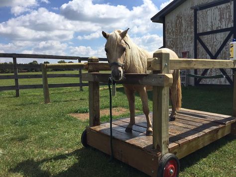 Mini wash rack Miniature Horse Stalls, Horse Wash Rack Outdoor, Horse Wash Rack, Tack Organization, Miniature Horse Barn, Mini Horses, Dream Stables, Horse Washing, Miniature Horses