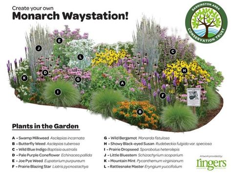 Garden Design Magazine on Instagram: “Create your own Monarch Waystation! 🦋 . Great layout from @ringerslandscaping. See more ideas for your garden in our regional gardening…” Monarch Waystation, Funny Vine, Butterfly Garden Design, Jardim Diy, Desain Lanskap, Hummingbird Garden, Garden Wallpaper, Pollinator Garden, Have Inspiration