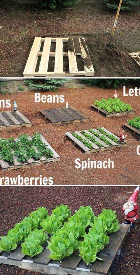 Taman Diy, Gardening Hacks, Garden Wallpaper, Garden Types, Pallet Garden, Pallets Garden, Home Vegetable Garden, Vegetable Garden Design, Diy Garden Projects