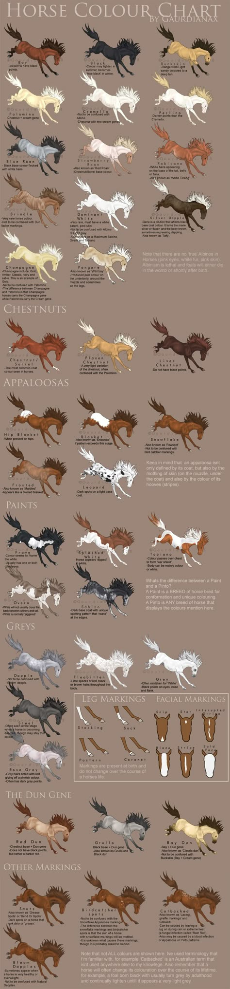 Horse Color Chart, Ahal Teke, Horse Facts, Horse Info, Types Of Horses, Horse Tips, All About Horses, Horse Health, Horse Quotes