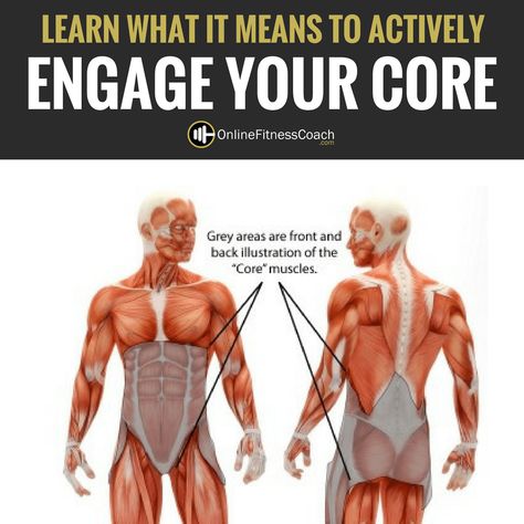 Engage Your Core How To Engage Your Core, Engage Core, Core Engagement, Core Muscles, Low Back Pain, What Can I Do, Weight Training, Strength Training, Back Pain