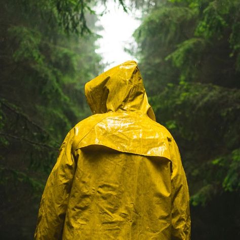 Rear View Of Man Wearing Yellow Raincoat In Forest During Rain What Is Resilience, Raincoat Men, The Better Man Project, Yellow Raincoat, Rain Gear, Grey Skies, Yellow Jacket, Weather Forecast, Rain Wear