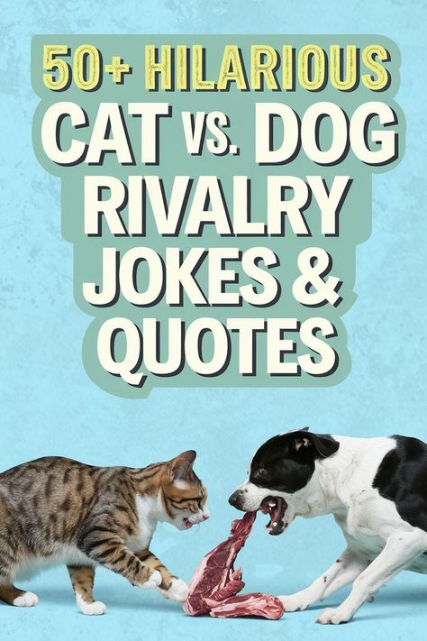 Hilarious Cat vs. Dog Rivalry Jokes Family Loyalty Quotes, Cat And Dog Quotes, Sisterhood Quotes, Trust God Quotes, Pick A Side, Loyalty Quotes, Cat Vs Dog, Create Reality, Quotes Pinterest