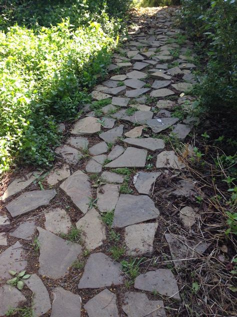 Sendero del jardín de mi casa con piedras lajas Gravel Walkway, Walkways Paths, Path Design, Walkway, Front Yard Landscaping, Front Yard, House Exterior, Garden Design, Garden Decor