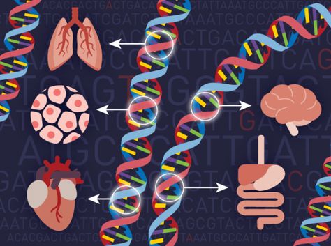 Diseases Pictures, Science Comics, California Institute Of Technology, Genetic Diseases, Human Genome, Womens Health Care, Cell Line, Technology Projects, Chest Congestion