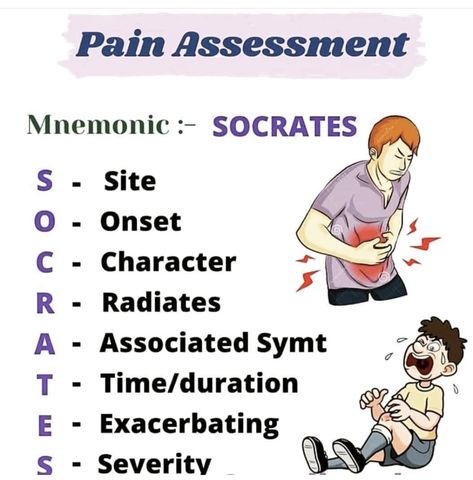 Assessment Nursing, Pain Assessment, Skill Training, Socrates, Chest Pain, Nursing Student, Body Systems, Feeling Sick, Medical History