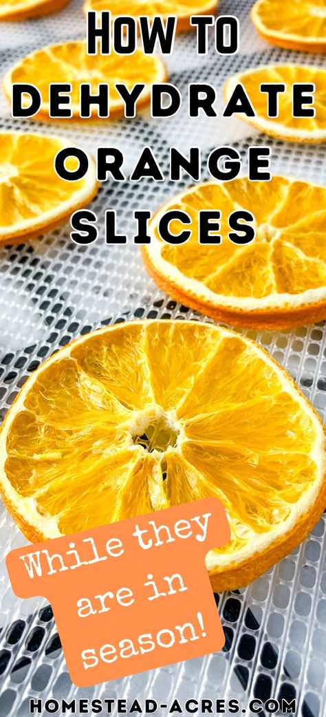 Make dehydrator orange slices while oranges are in season! You can easily dry sliced oranges in your oven or dehydrator and enjoy them in recipes or use them as decorations for holiday garlands, or potpourri. Dried Oranges In The Oven, Drying Oranges In Dehydrator, Dehydrated Oranges In Dehydrator, Dehydrating Oranges In Oven, Dehydrating Oranges In Dehydrator, Dehydrator Seasoning, How To Dehydrate Oranges, How To Make Dried Orange Slices, Dehydrating Oranges