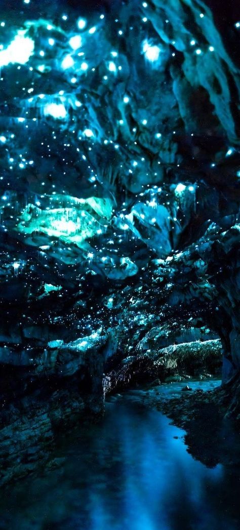 Waitomo Glowworm Caves, Nova Zelândia Gloworm Caves, Bioluminescent Cave, Glowing Algae, Lush Cave, Waitomo Glowworm Caves, Glowworm Caves, Waitomo Caves, Glow Worm Cave, Book Painting