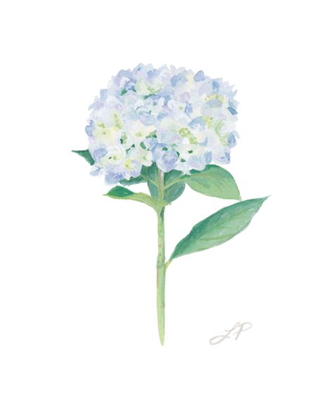 Hydrangea Poster, Blue Wall Prints, White Wall Prints, Water Color Floral, Hydrangea Watercolor, Watercolor Hydrangea, Hydrangea Painting, Hydrangea Print, Bedroom Wall Collage