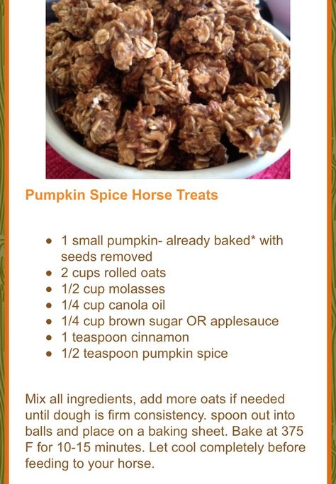 Pumpkin Spice Horse Treats Pumpkin Horse Treats, Horse Treats Recipe, Horse Snacks, Horse Recipes, Farm Organization, Horse Cookies Recipes, Halo Ideas, Homemade Horse Treats, Diy Animals