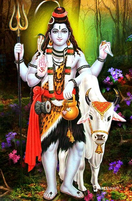 God siva with cow hd images high quality wallpaper for your mobile. Download god siva with cow hd images wallpaper fast and easy. Mahakaleshwar Jyotirlinga, Maha Shivaratri, Om Namah Shivaya, Background Png, Png Clipart, Transparent Background, Cow