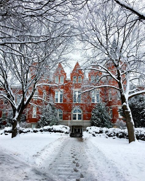 A beautiful picture taken by a student on WSU campus! Washington State University Campus, Wsu Cougs, Barn Pictures, Spring Semester, Washington State University, Washington State Cougars, Promised Land, University Campus, Beautiful Picture