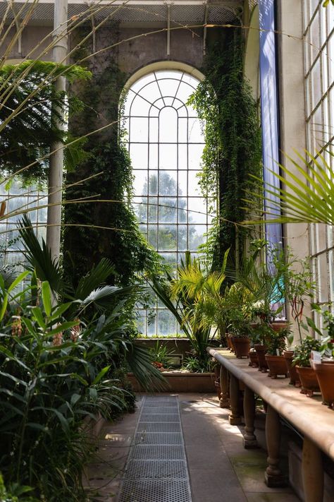 Temperate Palm House Glasshouse at Royal Botanic Gardens Edinburgh in Edinburgh, Scotland United Kingdom Roses Photography, Plants In Pots, Meteor Garden 2018, Garden Wallpaper, Magic Garden, Kew Gardens, Edinburgh Scotland, Botanic Garden, Covent Garden