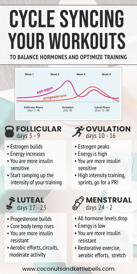 A step by step guide for training with your menstrual cycle. Cycle Syncing Menstrual Phase, Cycle Synching, Women Cycle, Menstrual Phase, Cycle Syncing, Week Workout, The Dating Divas, Medical Terms, Hormone Levels