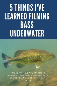 Crappie Fishing Tips, Largemouth Bass Fishing, Fishing For Beginners, Fly Fishing Tips, Bass Fishing Lures, Bass Fishing Tips, Fishing Diy, Crappie Fishing, Fishing Techniques