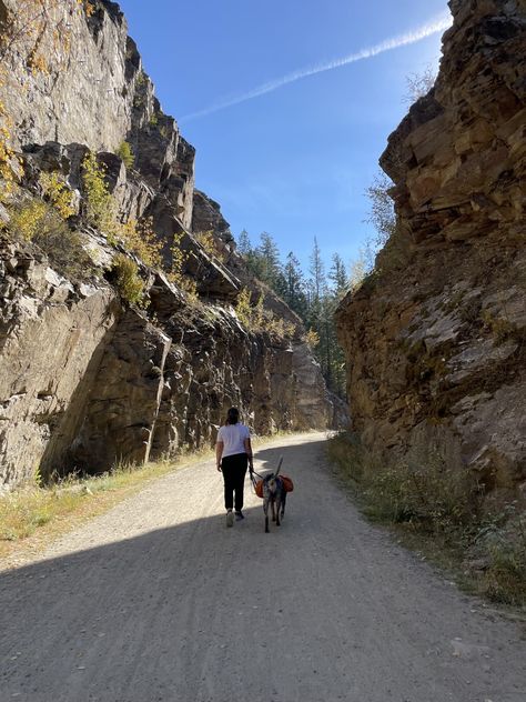 If you’ve ever been curious to know what lies beyond the wineries and beaches of Kelowna, you won’t want to miss Myra Canyon; a note-worthy hike, loaded with breathtaking views and rich history. Myra Canyon is a section of the Kettle Valley Railway (KVR), built by hand in the early 1900s. This hike brings you ... Read moreMyra Canyon Trestles (Kelowna): All You NEED To Know Before Visiting Trestle Bridge, Okanagan Valley, Bike Rental, Amazing Travel Destinations, Canada Travel, Early 1900s, Stunning View, Breathtaking Views, British Columbia