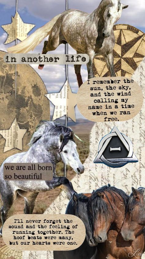 #horse #therian #therianthropy #horses Horse Therian, Black Percheron, Horse Collage, Therian Aesthetic, Percheron Horse, Therian Wallpaper, Horse Friends, Percheron Horses, Therian Stuff