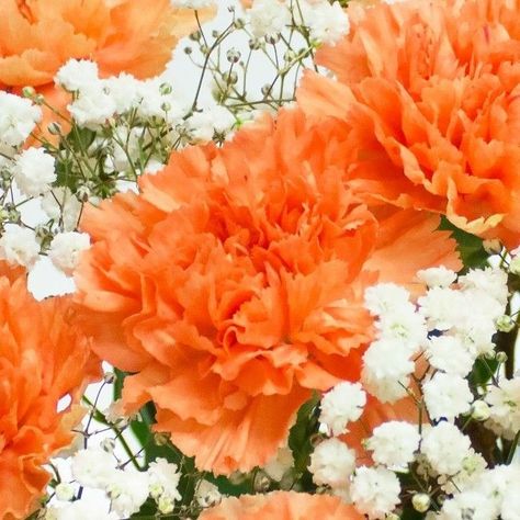 Orange Carnation Flower, Carnations Bouquet, Pretty Centerpieces, Orange Carnations, Flowers Carnations, Flower Carnation, Carnation Bouquet, Carnation Flowers, Handmade Bouquets