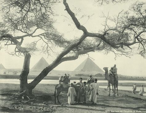 Victorian Egypt, Vintage Egypt, Cradle Of Civilization, Early Photos, Old Egypt, Terra Nova, The Pyramids, Valley Of The Kings, Pyramids Of Giza