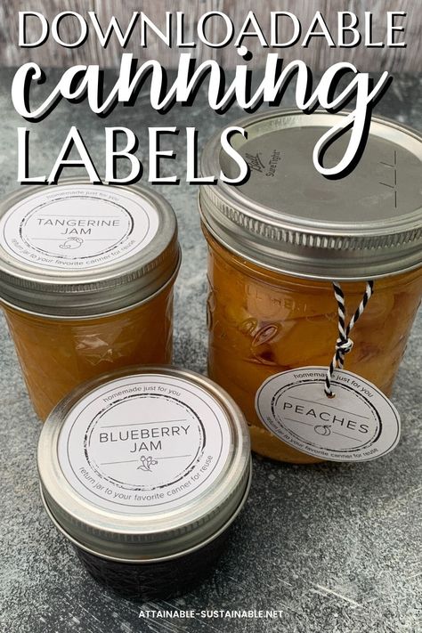 These canning labels are perfect for labeling all of your home canned goods so everyone knows what kind of delicious goodness awaits inside. Labeling Canning Jars, Canning Jar Labels, Peach Butter, Mason Jars Labels, Peach Blueberry, Canning Food Preservation, Handyman Projects, Good Advertisements, Water Bath Canning