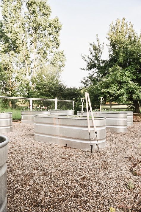 Stock Tank Garden Raised Beds, Stock Tank Garden, Stock Tank Gardening, Veggie Garden Layout, Wood Garden Beds, Garden Troughs, Raised Gardens, Raised Bed Garden, Liz Marie Blog