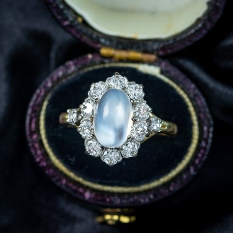 A spellbinding antique Edwardian moonstone cluster ring bestowed with a large cabochon moonstone bulging from the centre, haloed by ten sparkling transitional-cut diamonds and a smaller single-cut diamond on each shoulder. The mystifying moonstone derives its name from the stone’s ethereal, luminescent light that was once believed to be moonlight in solid form. In Greek mythology they were associated with Selene, the feminine moon Goddess and said to be a path to love, wisdom and new beginni... Love Wisdom, Edwardian Engagement Ring, Silvery Blue, Blue Glow, Moon Goddess, Diamond Cluster Ring, Memento Mori, Moonstone Ring, Antique Jewellery