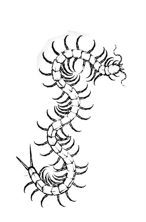 White Reaper Tokyo Ghoul, Tokyo Ghoul Tattoo Stencil, Tokyo Ghoul Stitches Tattoo, Tokyo Ghoul Tattoo Designs, Tokyo Ghoul Centipede Tattoo, Tokyo Ghoul Centipede, Tokyo Ghoul Tattoo Ideas, Tokyo Ghoul Tattoo, Stitch Tattoo