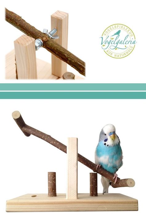 Diy Budgie Toys, Homemade Bird Toys, Diy Parrot Toys, Pet Pigeon, Budgie Cage, Cockatiel Toys, Diy Bird Cage, Bird Cage Design, Parakeet Toys