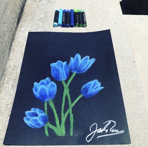 Blue tulip drawing done in oil pastels on black paper. Artist: Jade Catherine Art Blue Tulips Drawing, Pastels On Black Paper, Tulip Drawing, Design Art Drawing, Blue Tulips, Oil Pastel Art, Oil Pastels, Pastel Flowers, Flower Oil