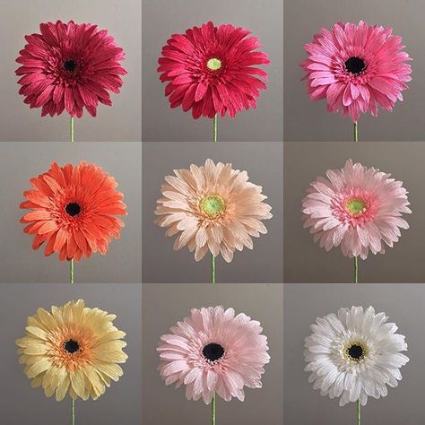 They're here! Gerber daisies have been added to my Etsy shop! #nectarhollow Paper Botanicals, Crafting Flowers, Crepe Paper Crafts, Flowers Creative, Săpunuri Handmade, Gerber Daisy, Craft Flowers, Flower Bouquet Diy, Easy Paper Flowers