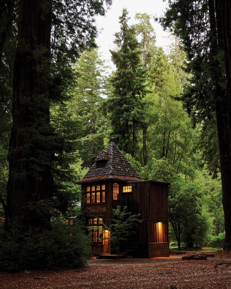 Art Deco Style Interior, Aesthetic Interior Design, Redwood National Park, Forest Canopy, Cottage In The Woods, Interior Design Art, Cabins In The Woods, House In The Woods, Interior Design Styles