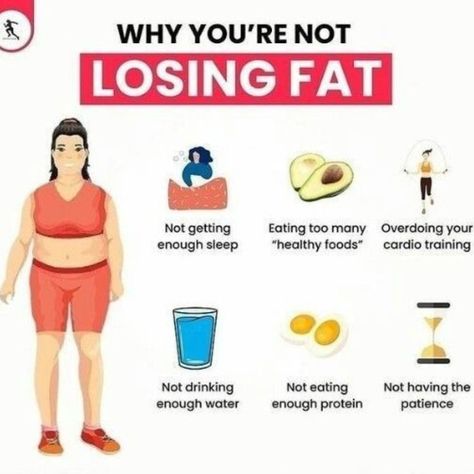 #bellyfat #weightloss #bellyfatburner #fitness #weightlossjourney #bellyfatloss #fatloss #weightlosstransformation #belly #bellyfatworkout #bellyfatbegone #fitnessmotivation #fit #healthylifestyle #detox #diet #healthyfood #burnfat #lifestyle #health #weightlosstips #bellyfatgone #fat #bellyfats #wellness #loseweight #bodycontouring #bellyfatlose #bellyfatchallenge #healthyeating 👉follow our page if you are interested @fitnessfusionzone for more health weight loss tips smoothies detox🧡💚💙💕 Losing Fat, Lose 5 Pounds, Healthy Ideas, Belly Fat Workout, Lose 20 Pounds, Stubborn Belly Fat, Weights Workout, Smoothie Diet, Diet And Nutrition