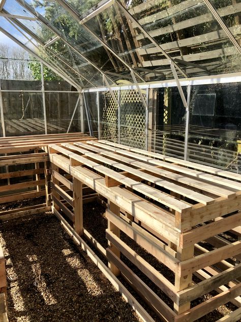 Pallet Greenhouse Shelving, Greenhouse Pallet, Greenhouse Tables, Wood Greenhouse, Pallet Greenhouse, Greenhouse Staging, Cheap Greenhouse, Allotment Ideas, Dome Greenhouse