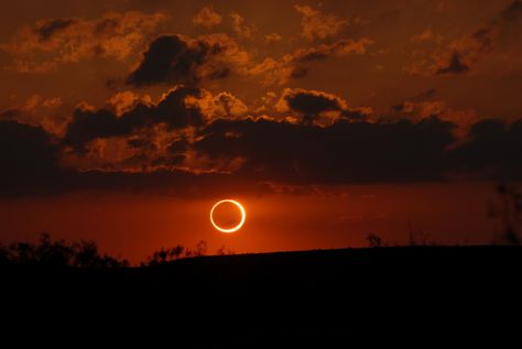 Annular Eclipse, Blood Moon Lunar Eclipse, Sun Eclipse, Moon Lunar Eclipse, Simon Petrikov, Collage Mural, Desktop Photos, Eclipse Solar, Scenic Places