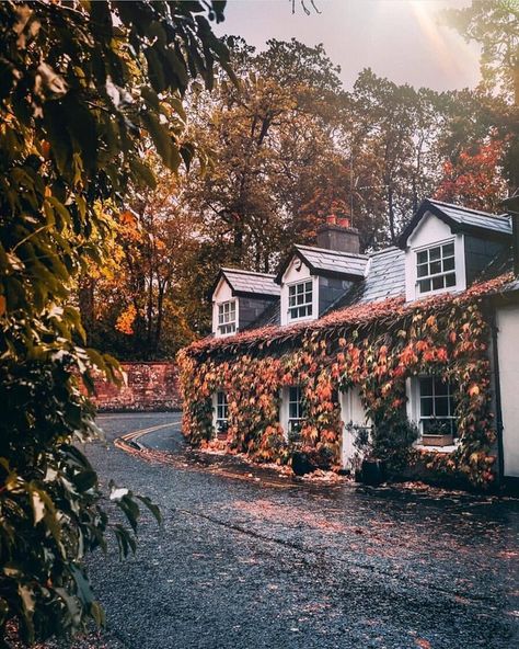 Imagem Moody House, Ireland Aesthetic, Background References, Autumn Witch, Raindrops And Roses, Traveling Abroad, Road Trip Itinerary, Autumn Cozy, Ireland Travel