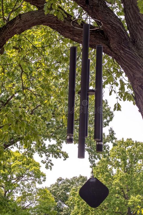 Wind chimes in the tree stock photo Shade For Dogs, Windchimes Outdoor, Deep Tone Wind Chimes, Costa Rica House, Wind Chime Parts, Large Wind Chimes, Shop Cart, Cycle Art, Wind Chimes Homemade