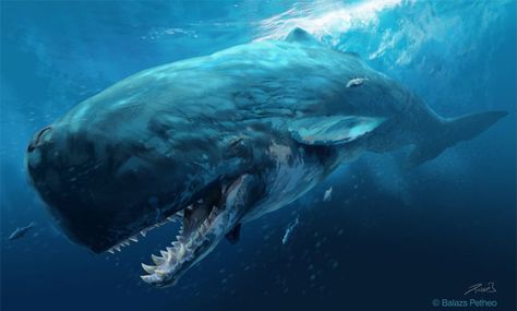 Livyatan was now top predator it ruled the ice age seas. over 60 feet it was a force to be recend with. Creature Marine, Megalodon Shark, Sperm Whale, Ancient Animals, Paleo Art, Extinct Animals, Prehistoric Creatures, Prehistoric Animals, Sea Monsters