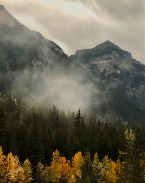 Smoky Mountain Aesthetic, The Mountains Aesthetic, Nature Forest Aesthetic, Oc Species, Pnw Vibes, Fall Mountains, Changing Aesthetic, Canada Mountains, Amish Men