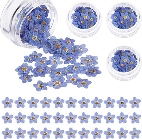 Amazon.com: Natural Forget-Me-Not Dried Flowers Don't Forget Me Dried Flower Real Dried Pressed Flowers for Jewelry Candle Card Making DIY Resin Ornaments Nail Art Flowers Decorations (100 Pieces) Dried Pressed Flowers, Resin Ornaments, Making Resin Jewellery, Dont Forget Me, Candle Cards, Dried And Pressed Flowers, Resin Jewelry Making, Jewelry Candles, Flower Ornaments