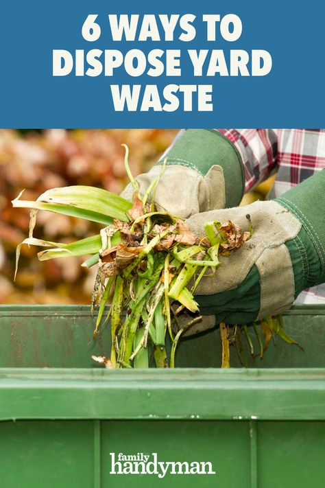 6 Ways to Dispose Yard Waste Pruning Shrubs, Clean Up Day, Backyard Garden Patio, Junk Removal Service, Waste Collection, Yard Waste, Tree Removal, Outdoor Diy Projects, Trash And Recycling Bin