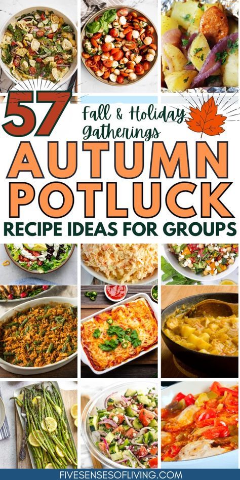 Make your next gathering a hit with these easy Crockpot potluck dishes! Whether you're planning a church potluck, a work event, or just need a main dish for a crowd, these recipes are perfect for any occasion. Discover the best potluck dishes, from hearty mains to easy vegan options, that everyone will love. These simple and delicious potluck recipes are sure to impress and make meal planning a breeze. Crockpot Meals For Potluck Main Dishes, Easy Crowd Recipes, Snack For Potluck, Crowd Favorite Recipes, Healthy Recipes For Potluck, Simple Dinner For Friends, Bunco Potluck Ideas, Vegetarian Dishes For A Crowd, Fall Recipes Potluck