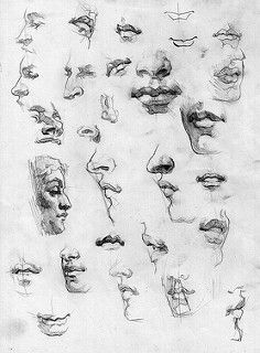 Drawing Noses, Drawing Faces, Drawing Studies, Pencil On Paper, Anatomy Drawing, Art Instructions, Art And Illustration, Anatomy Art, Facial Expressions