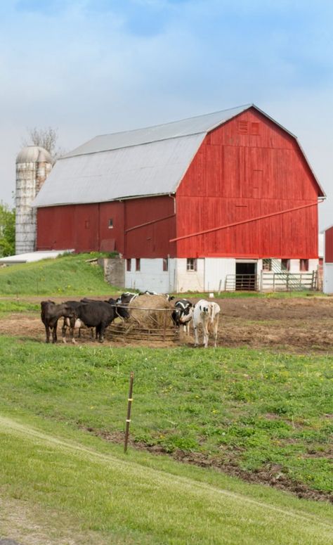 Barn Pictures, Country Barns, Farm Living, Barns Sheds, Farm Buildings, Farm Houses, Farms Living, Country Scenes, Farm Barn