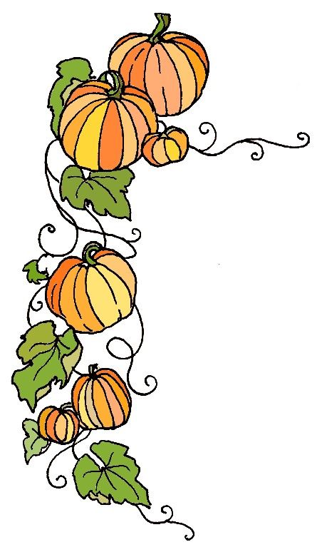 Pumpkin vine (left) Vine Drawing, Pumpkin Vine, Flower Png Images, Pumpkin Drawing, Creepy Pumpkin, Anime Tutorial, 3rd Grade Art, Vine Tattoos, Pumpkin Leaves